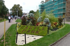 Panda floral display, Castle park Colchester