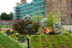 Panda floral display, Castle park Colchester