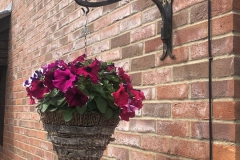 Hanging basket bracket