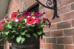 Hanging basket bracket
