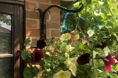 Hanging basket bracket