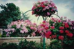 Hanging basket pole